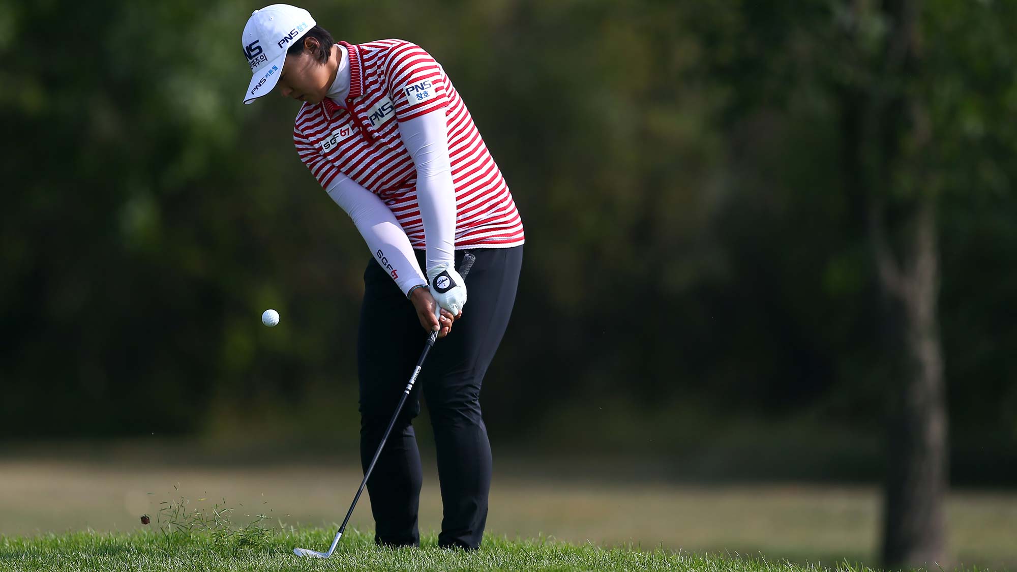 Amy Yang of Korea chips onto the 16th green during the second round of the CP Womens Open