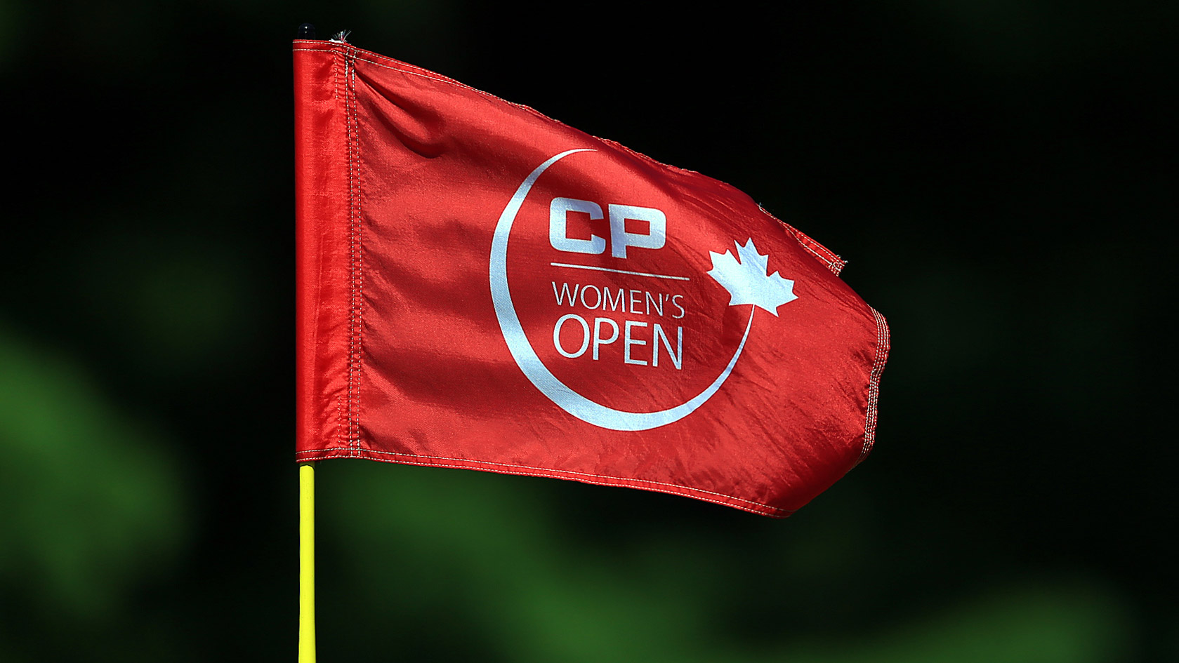 cp-pin_flag-838618214.jpg